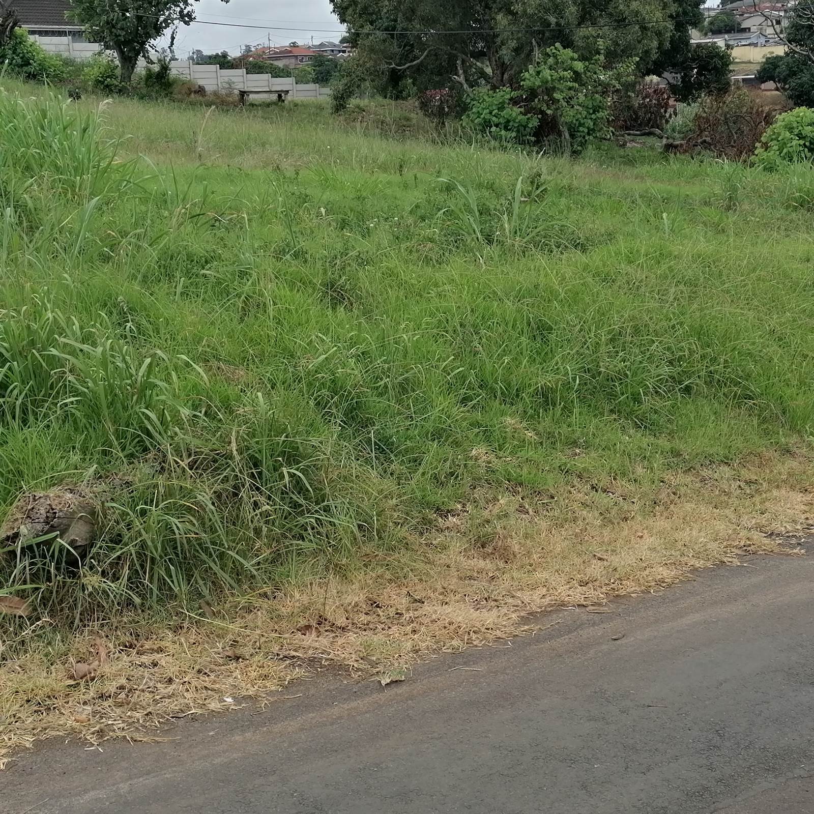 1950 m² Land available in Tongaat Central photo number 2