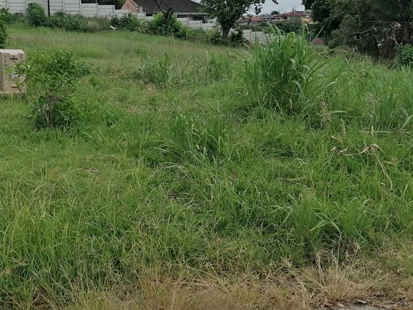 1950 m² Land available in Tongaat Central