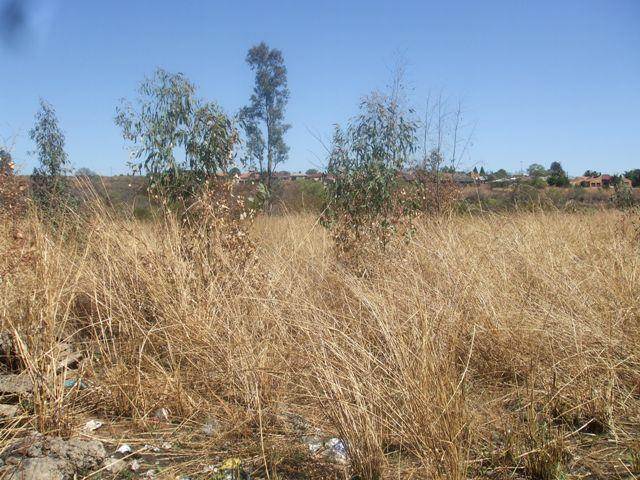 6692 m² Land available in Lydenburg photo number 5