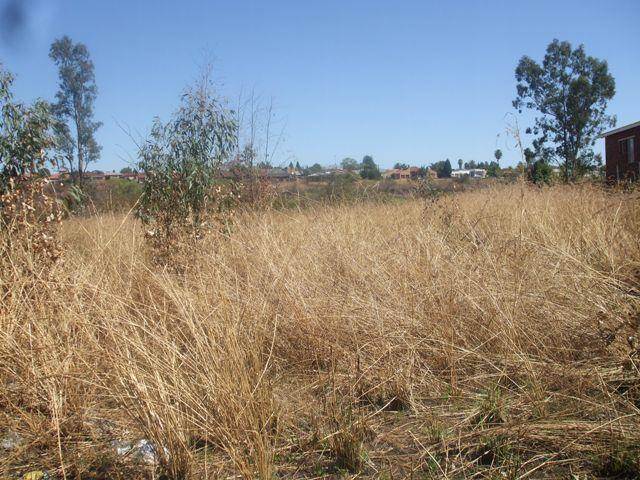 6692 m² Land available in Lydenburg photo number 7