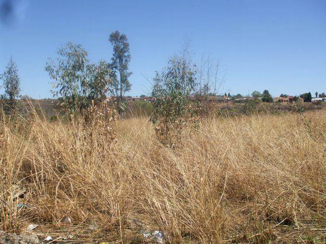 6692 m² Land available in Lydenburg photo number 1