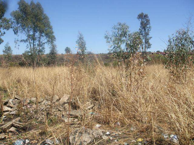 6692 m² Land available in Lydenburg photo number 8
