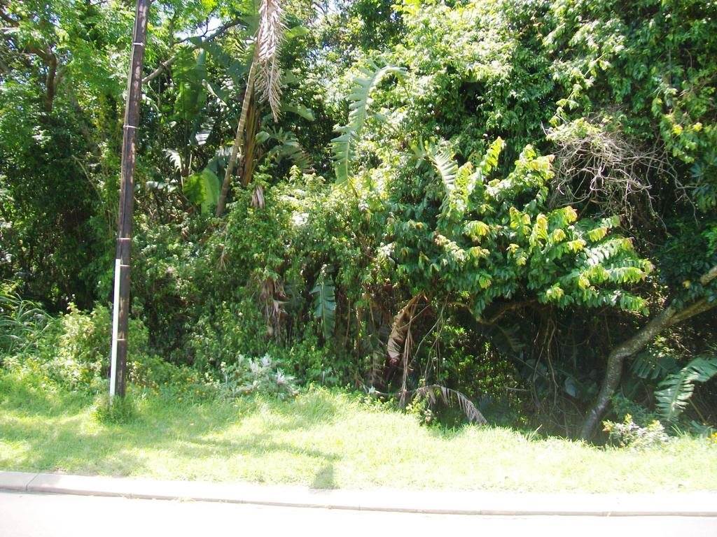 1501 m² Land available in Ramsgate photo number 4