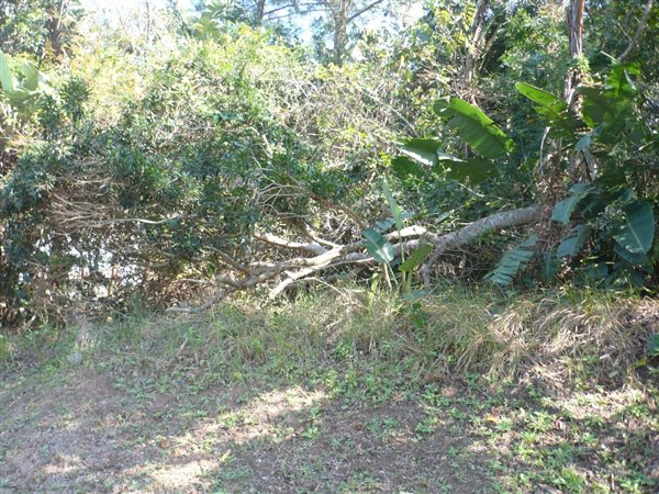 577 m² Land available in Pennington