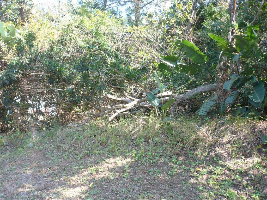 577 m² Land available in Pennington photo number 1