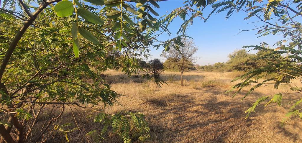 1 ha Land available in Rietfontein photo number 6