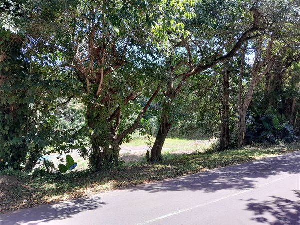 1017 m² Land available in Leisure Bay