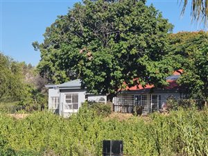 22.6 ha Farm in Wildebeeshoek AH