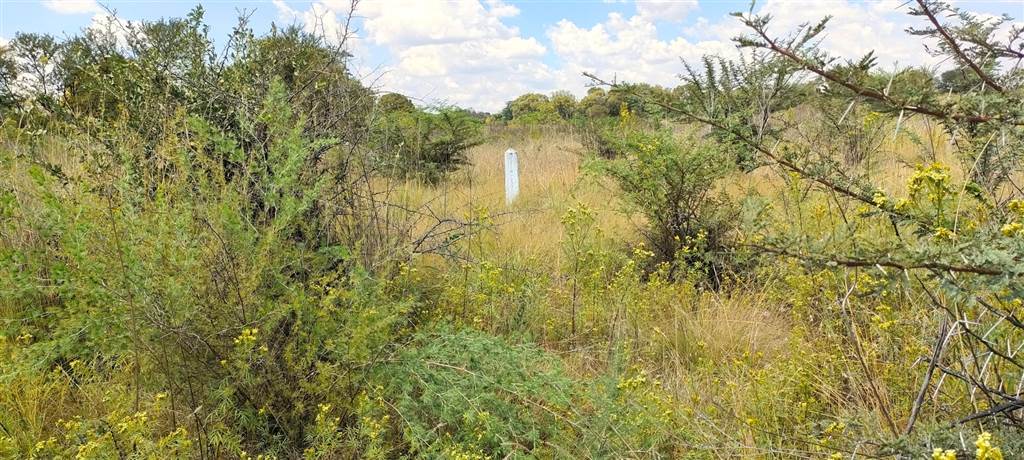 25 ha Land available in Knopjeslaagte photo number 5