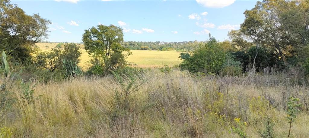 25 ha Land available in Knopjeslaagte photo number 3