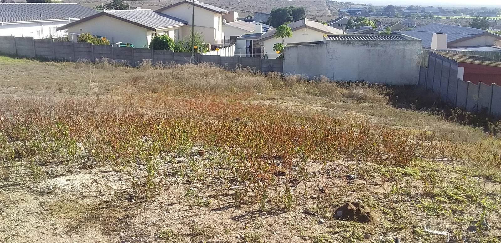 495 m² Land available in Saldanha photo number 1