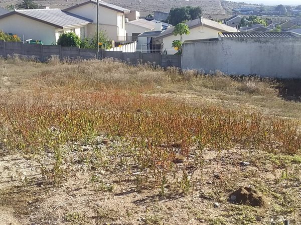 495 m² Land available in Saldanha