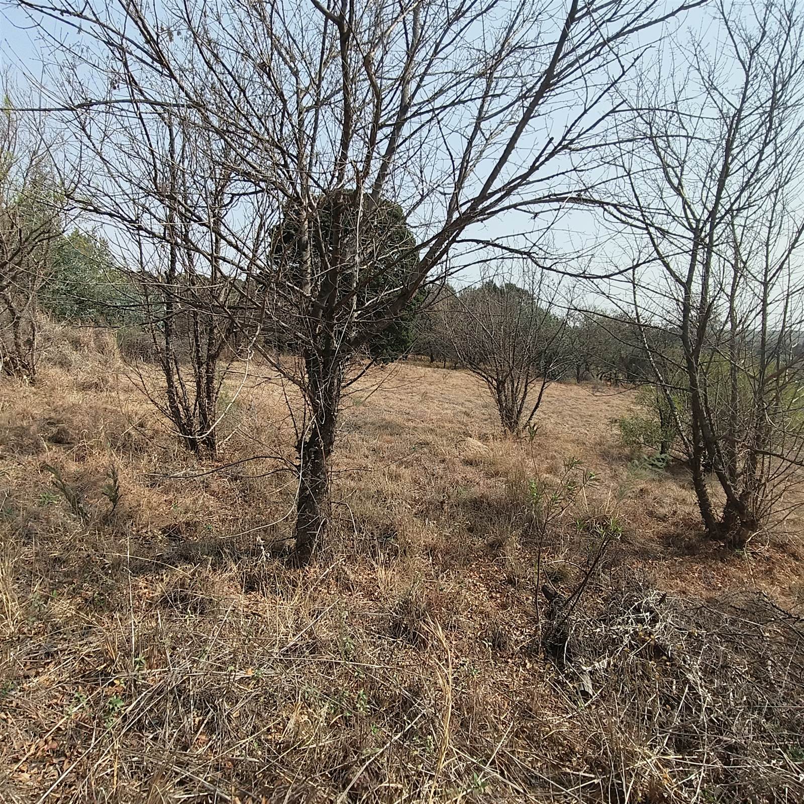 1382 m² Land available in Doringkloof photo number 12
