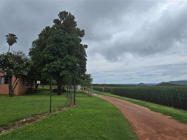 49 ha Farm