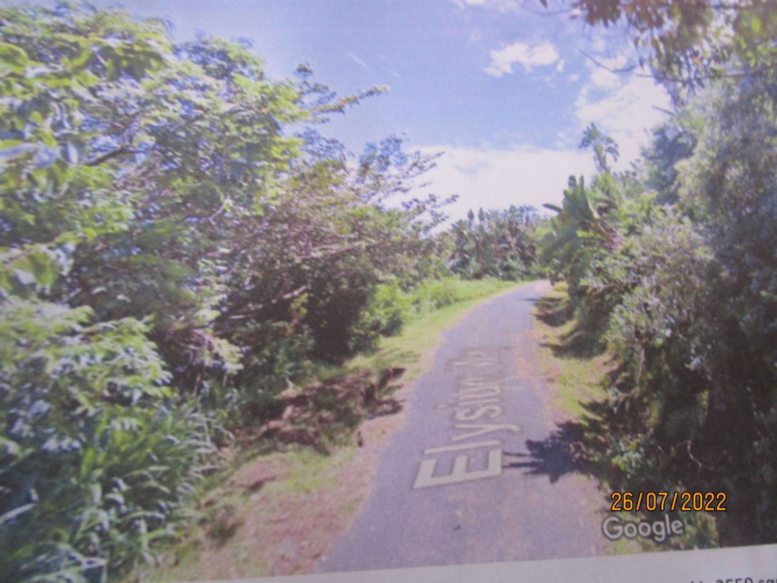 2559 m² Land available in Elysium photo number 2