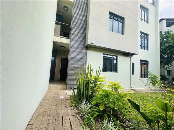 3 Bedroom House 3 Bedroom House