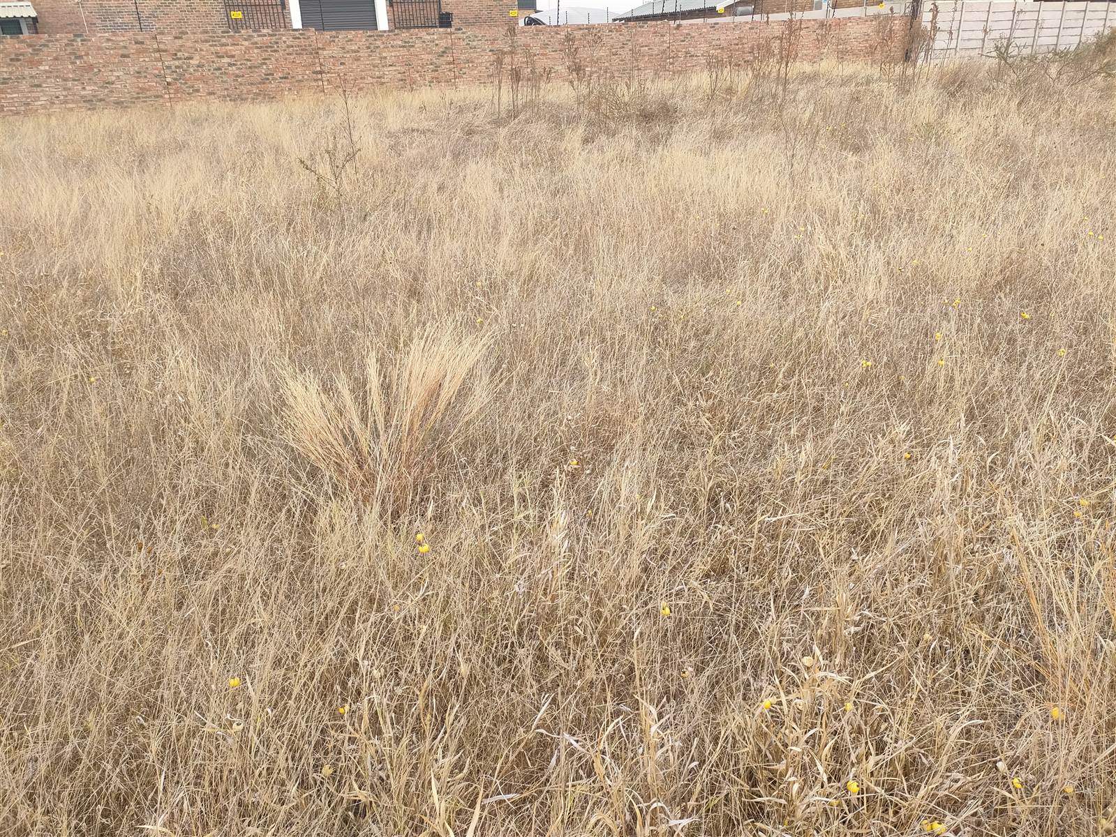 1600 m² Land available in Polokwane Central photo number 7