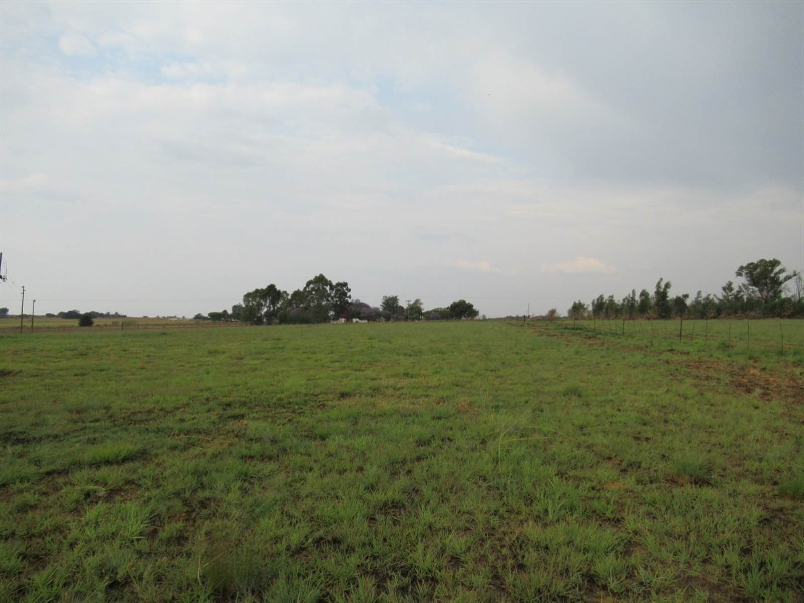 21 ha Farm in Cullinan and Surrounds photo number 10