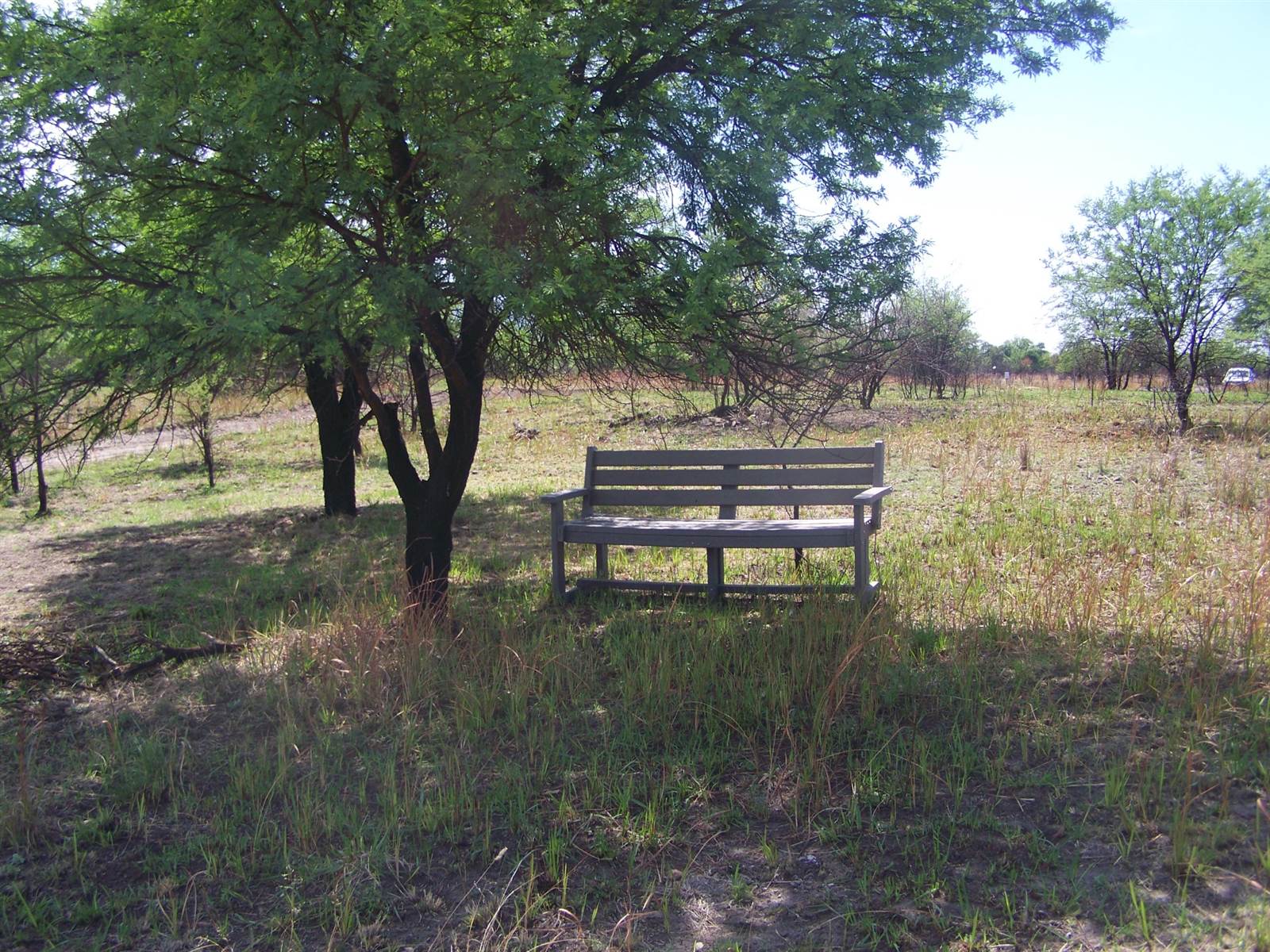 1274 m² Land available in Melodie photo number 6