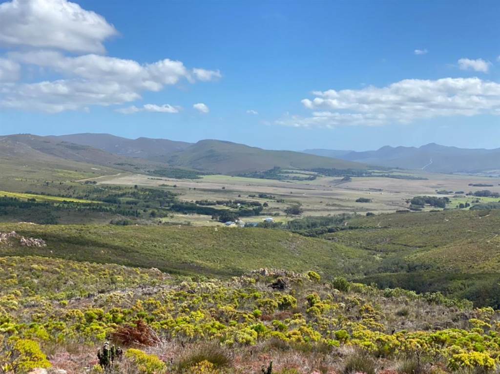 500 ha Farm in Stanford photo number 21