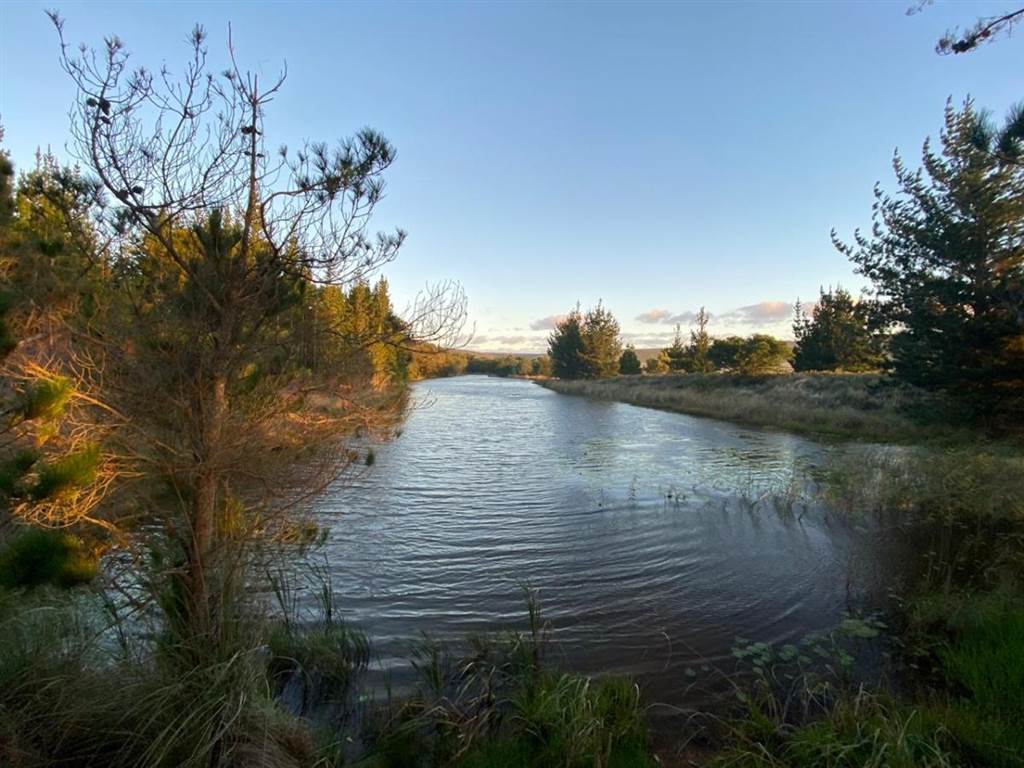 500 ha Farm in Stanford photo number 12