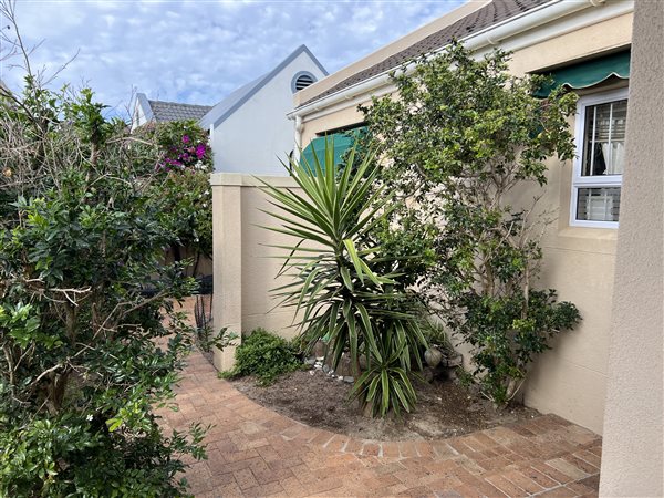 3 Bedroom House 3 Bedroom House