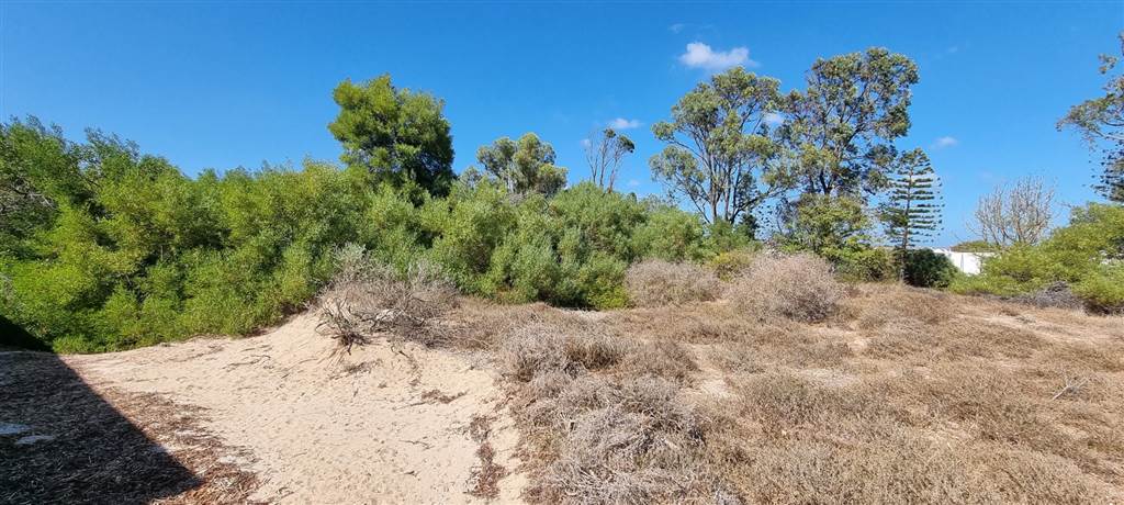 450 m² Land available in Shelley Point photo number 1