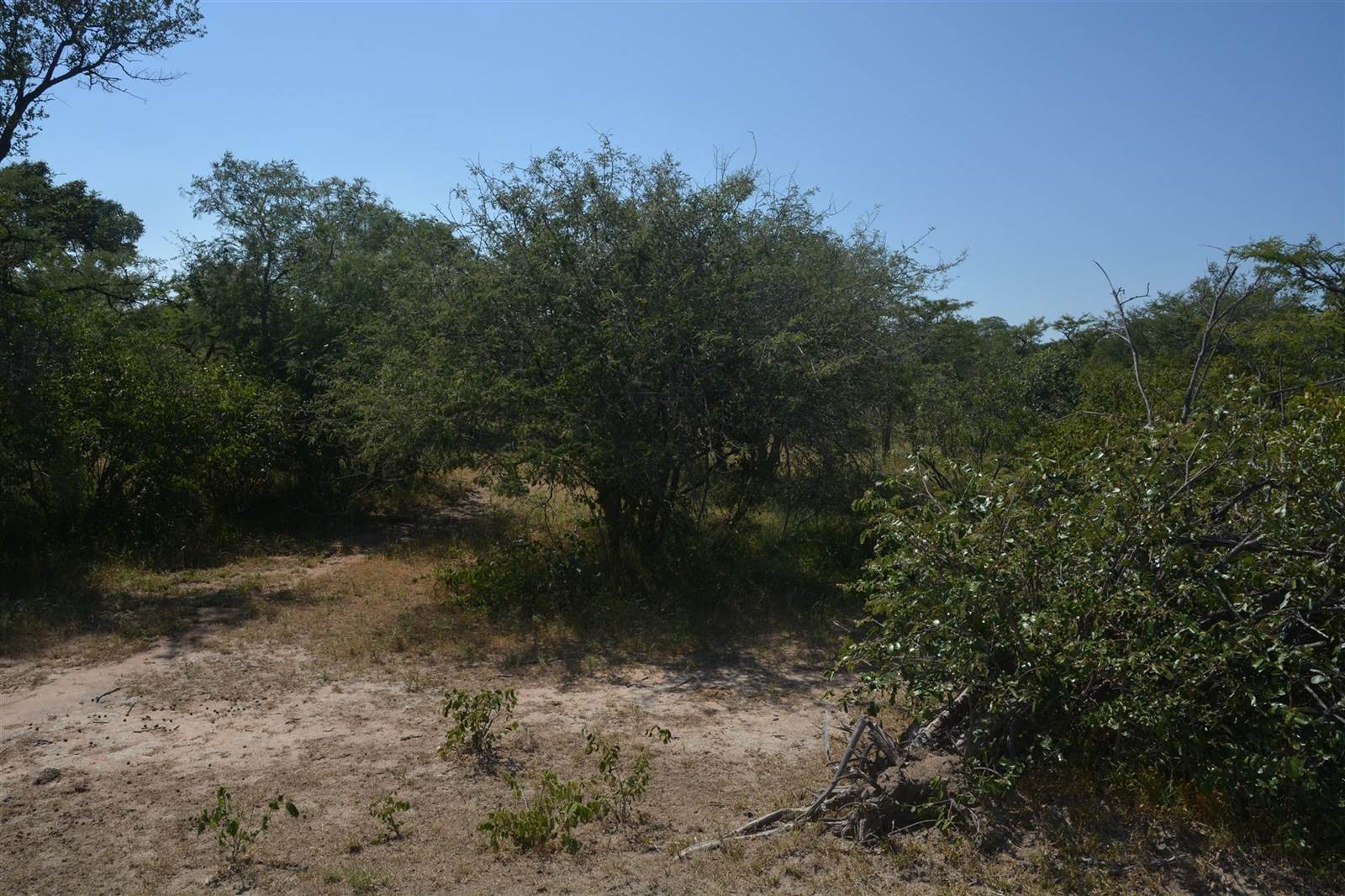 2 ha Land available in Moditlo Nature Reserve photo number 9