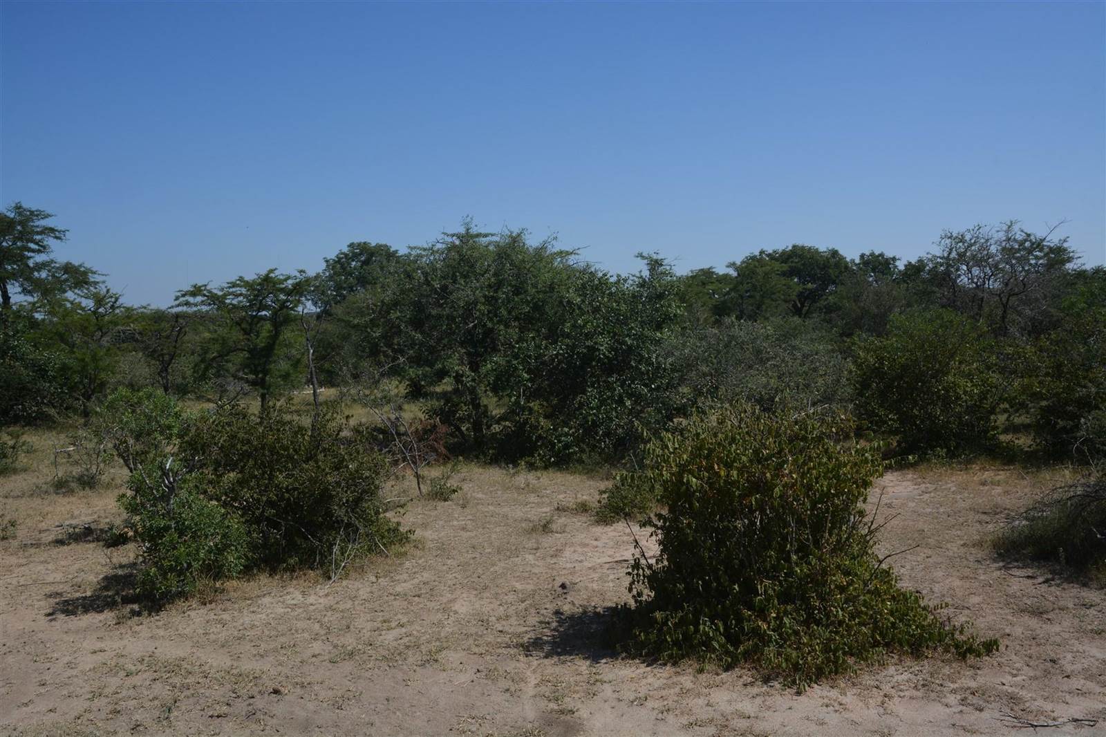 2 ha Land available in Moditlo Nature Reserve photo number 6