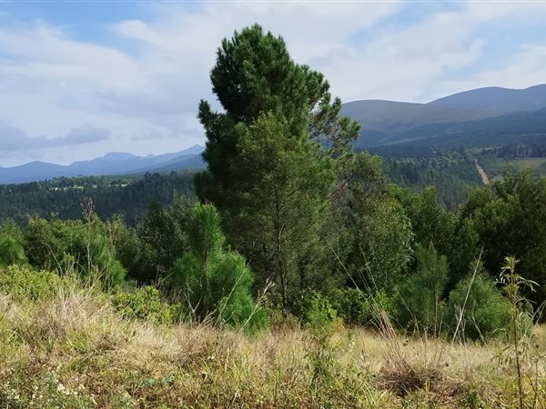 699 m² Land available in Great Brak River