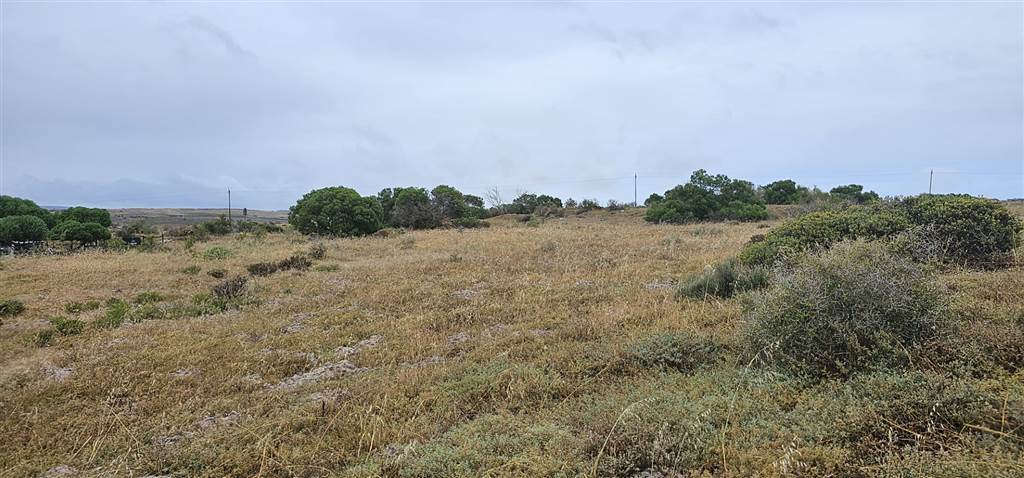 2 ha Land available in Olifantskop photo number 5