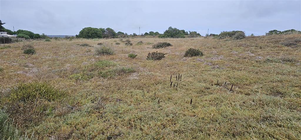 2 ha Land available in Olifantskop photo number 3