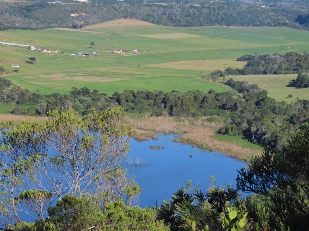 15 ha Land available in Plettenberg Bay photo number 3
