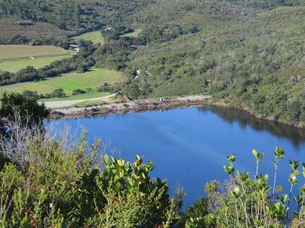 15 ha Land available in Plettenberg Bay photo number 5