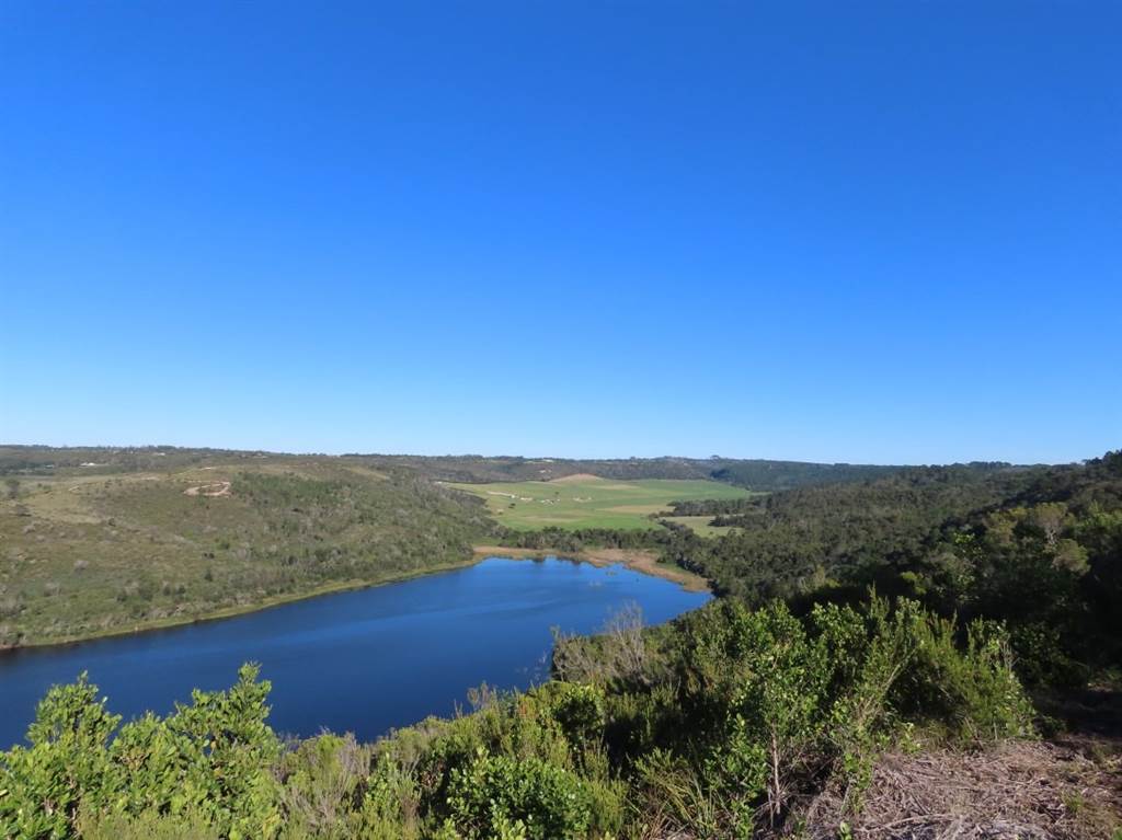 15 ha Land available in Plettenberg Bay photo number 9