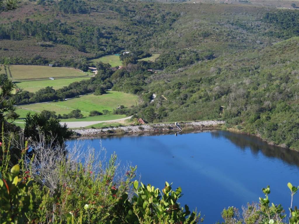 15 ha Land available in Plettenberg Bay photo number 4