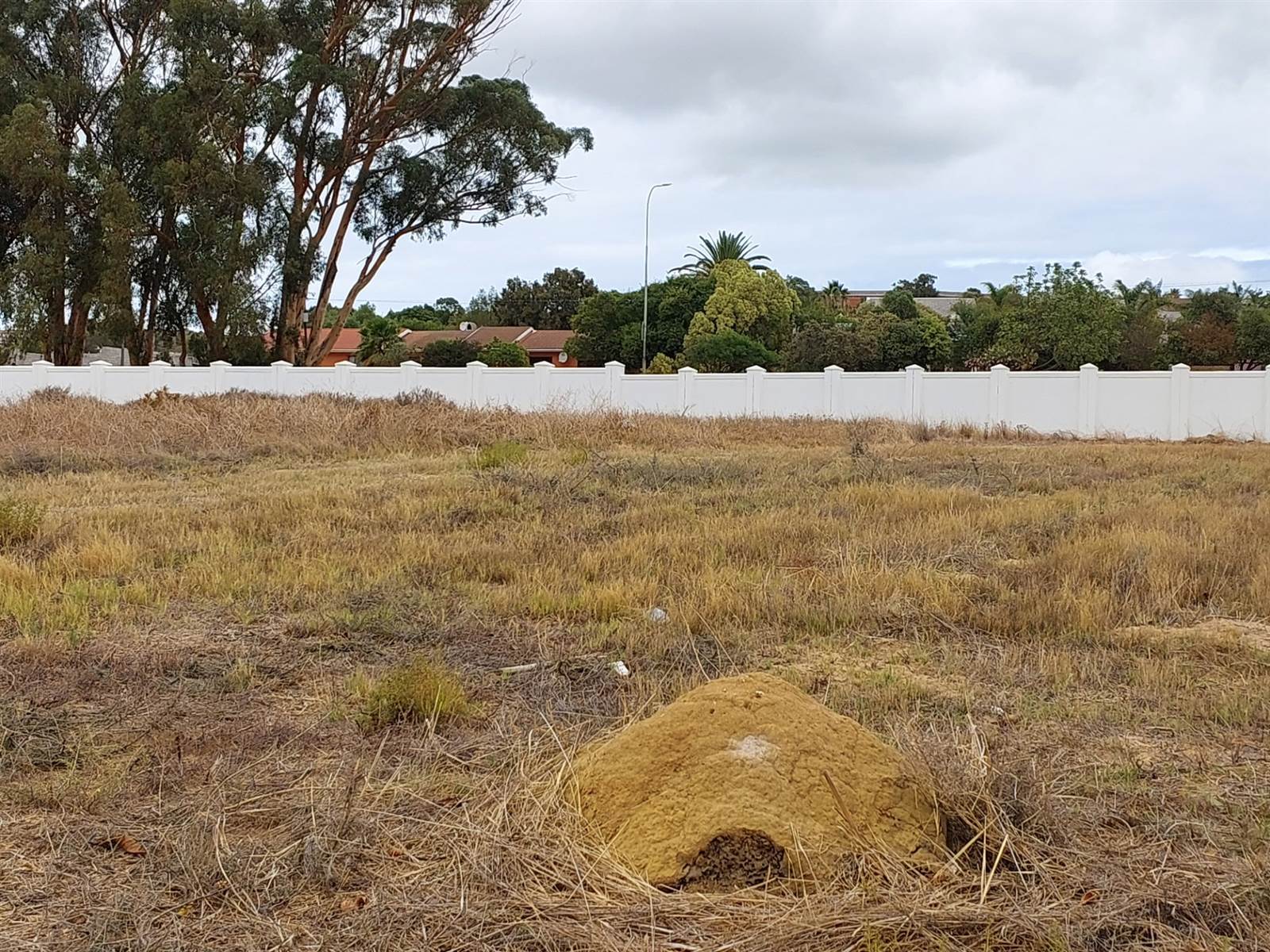 878 m² Land available in Darling photo number 3