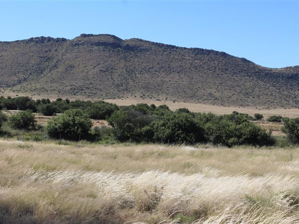 528 ha Farm in Middelburg