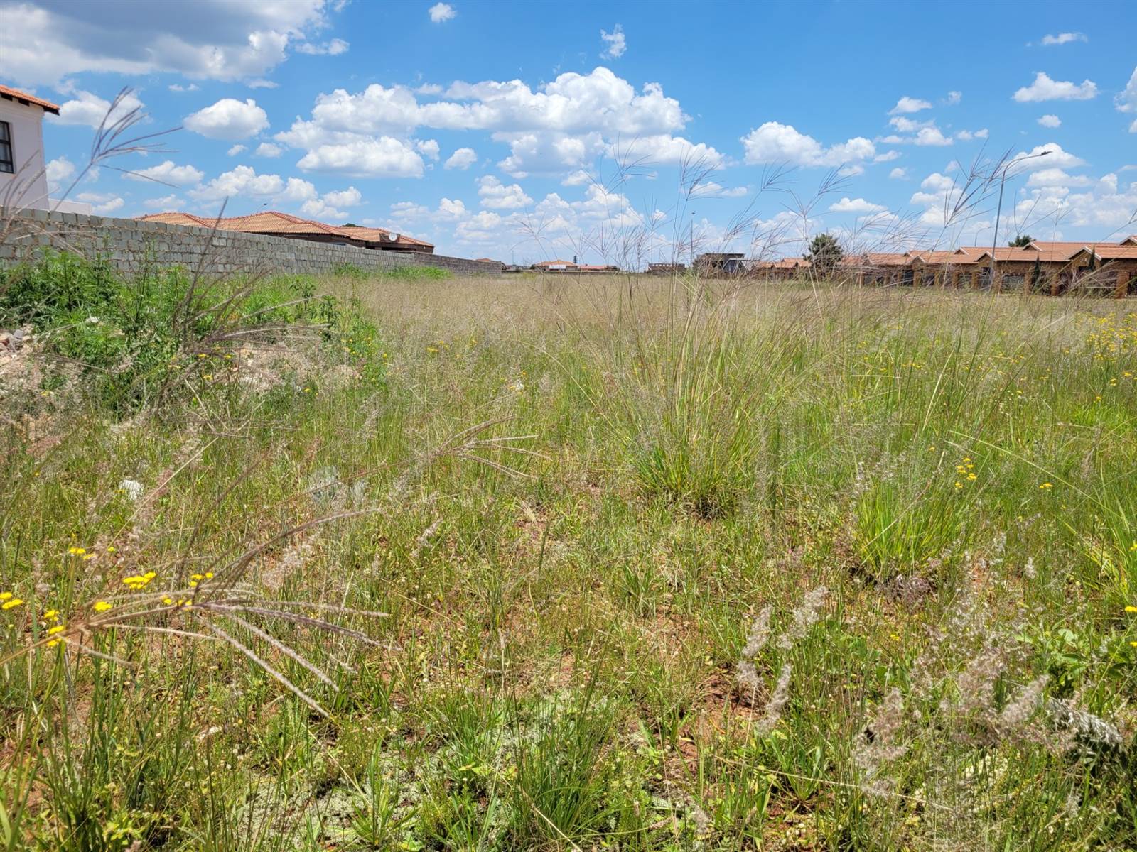 1000 m² Land available in Carletonville photo number 1