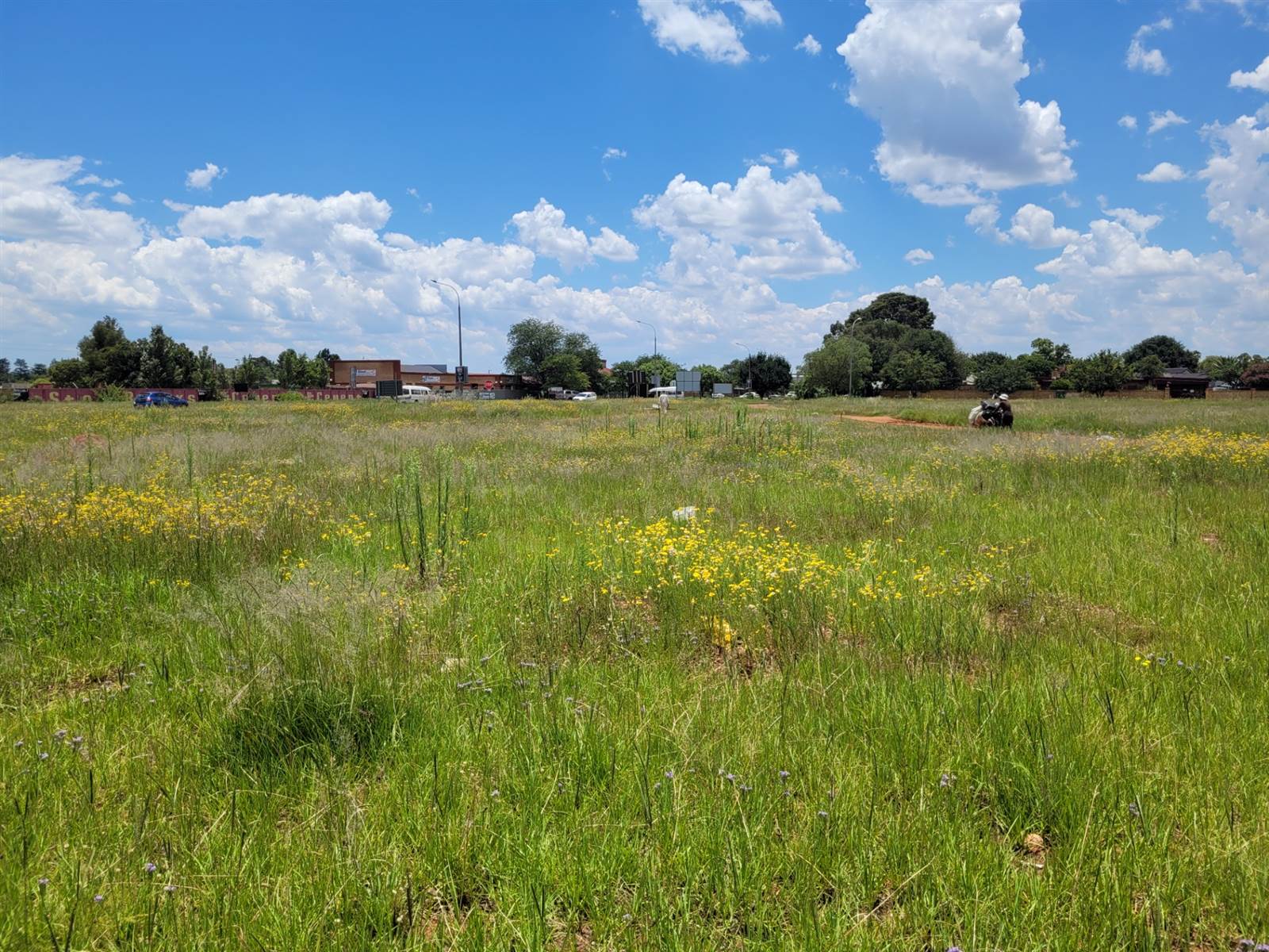 1000 m² Land available in Carletonville photo number 4