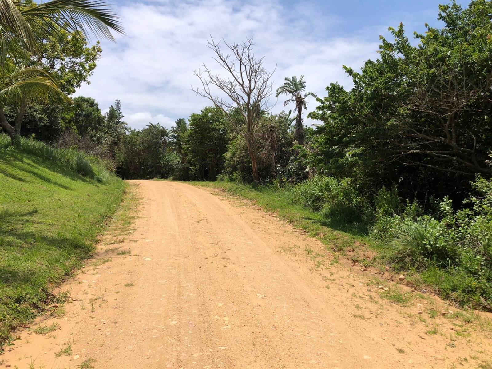 1105 m² Land available in Hibberdene photo number 8