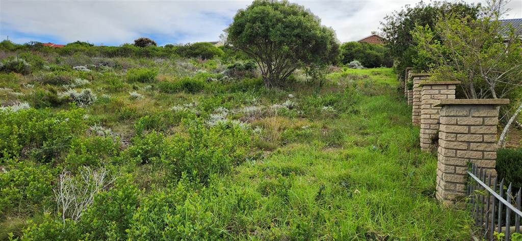 1019 m² Land available in Dana Bay photo number 7