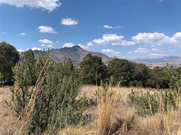 1377 m² Land available in Clarens