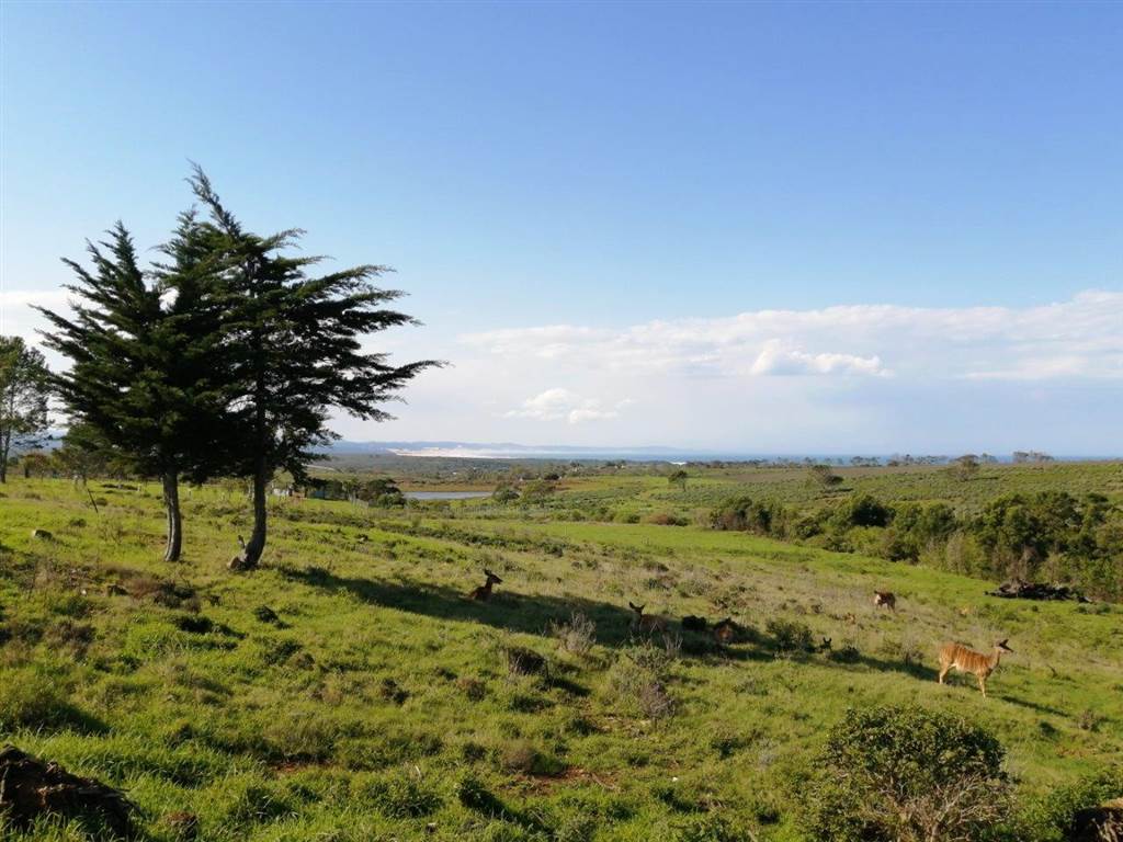 2969 m² Land available in Kabeljous photo number 10