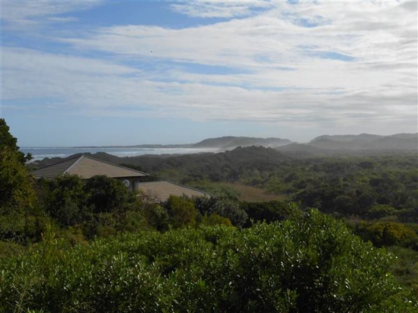 1142 m² Land available in Oyster Bay