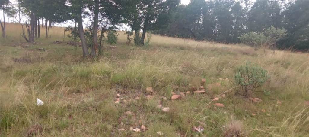 41.8 ha Land available in Witbank Central photo number 5