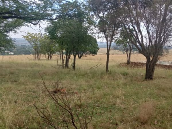 41.8 ha Land available in Witbank Central