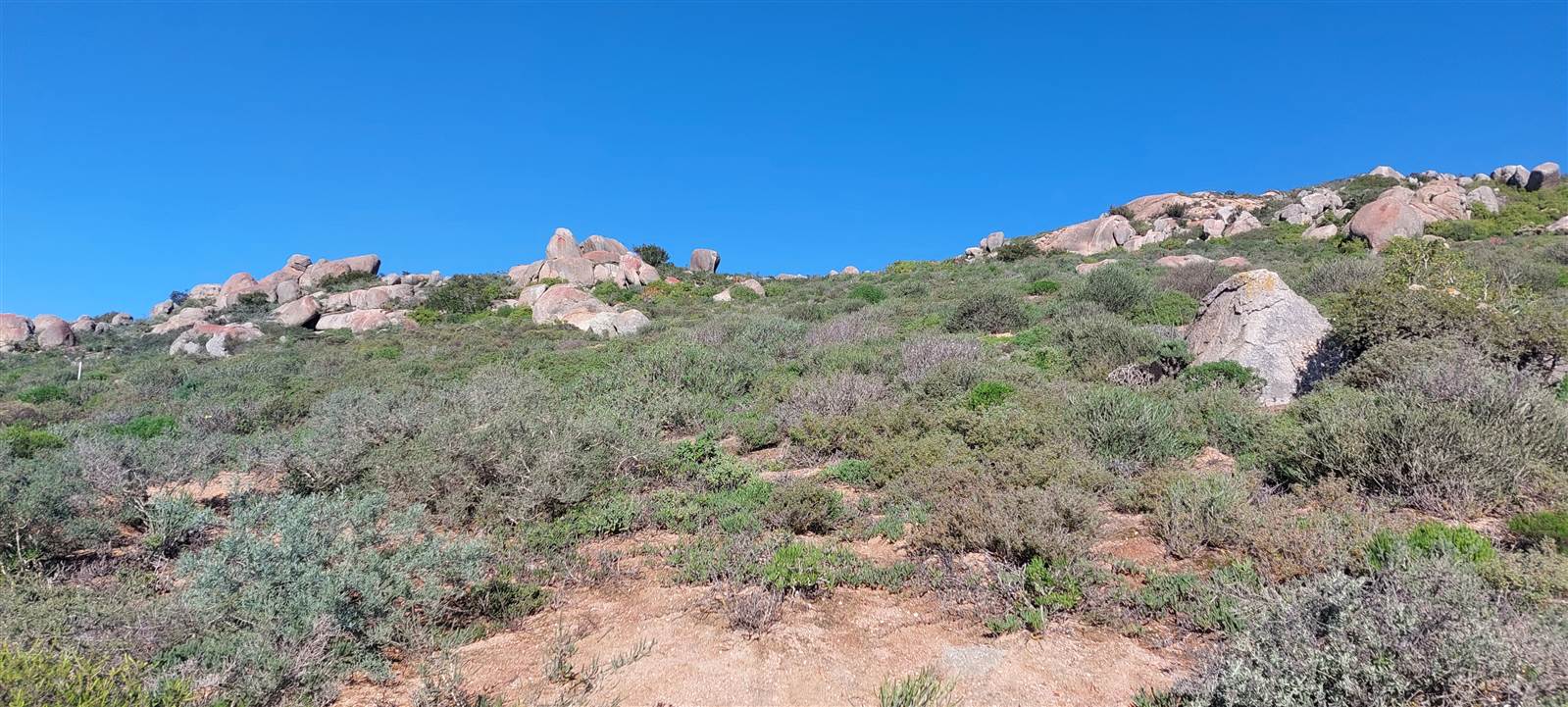 479 m² Land available in St Helena Views photo number 9