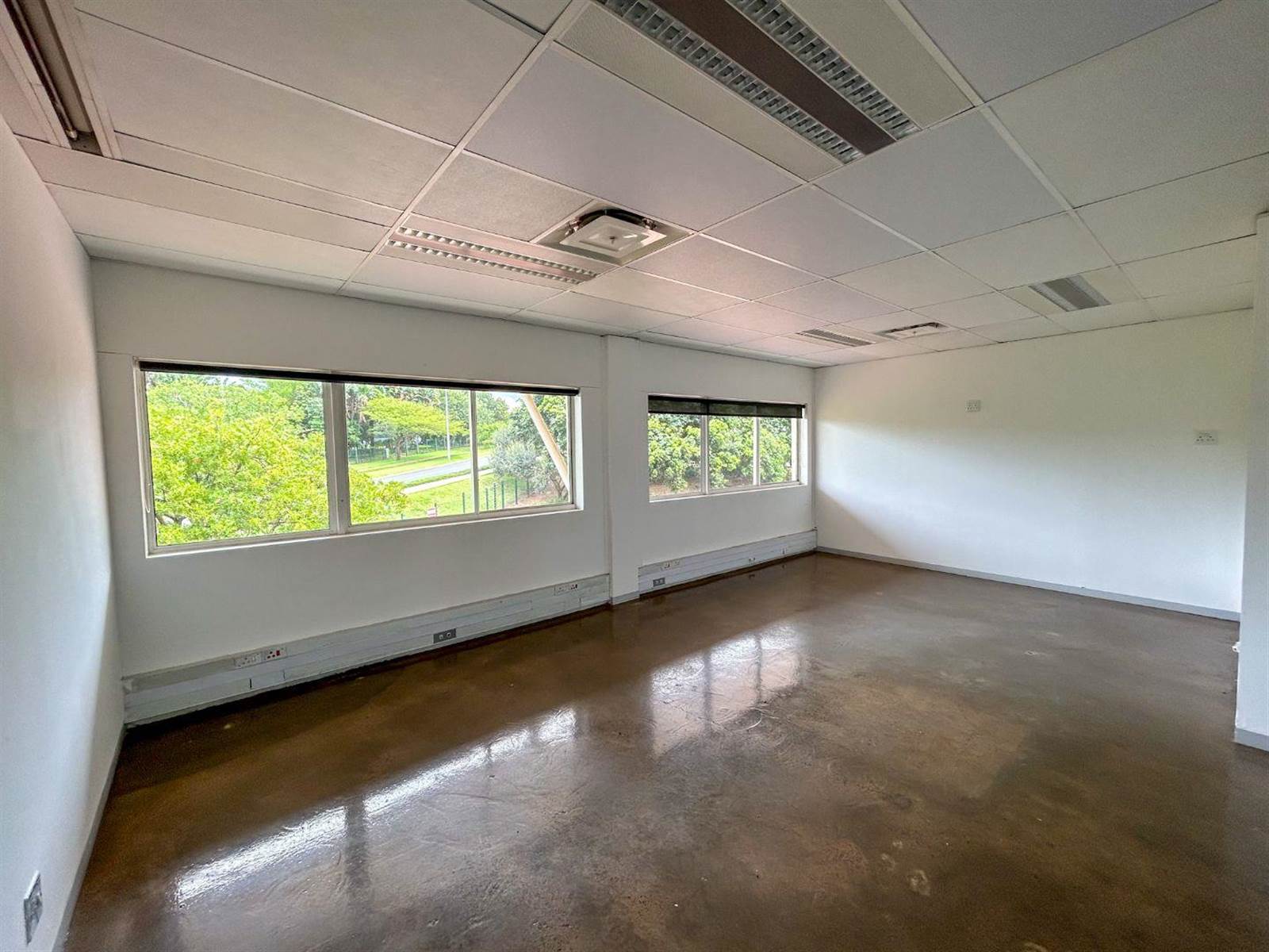 284.5  m² Office Space in La Lucia photo number 10