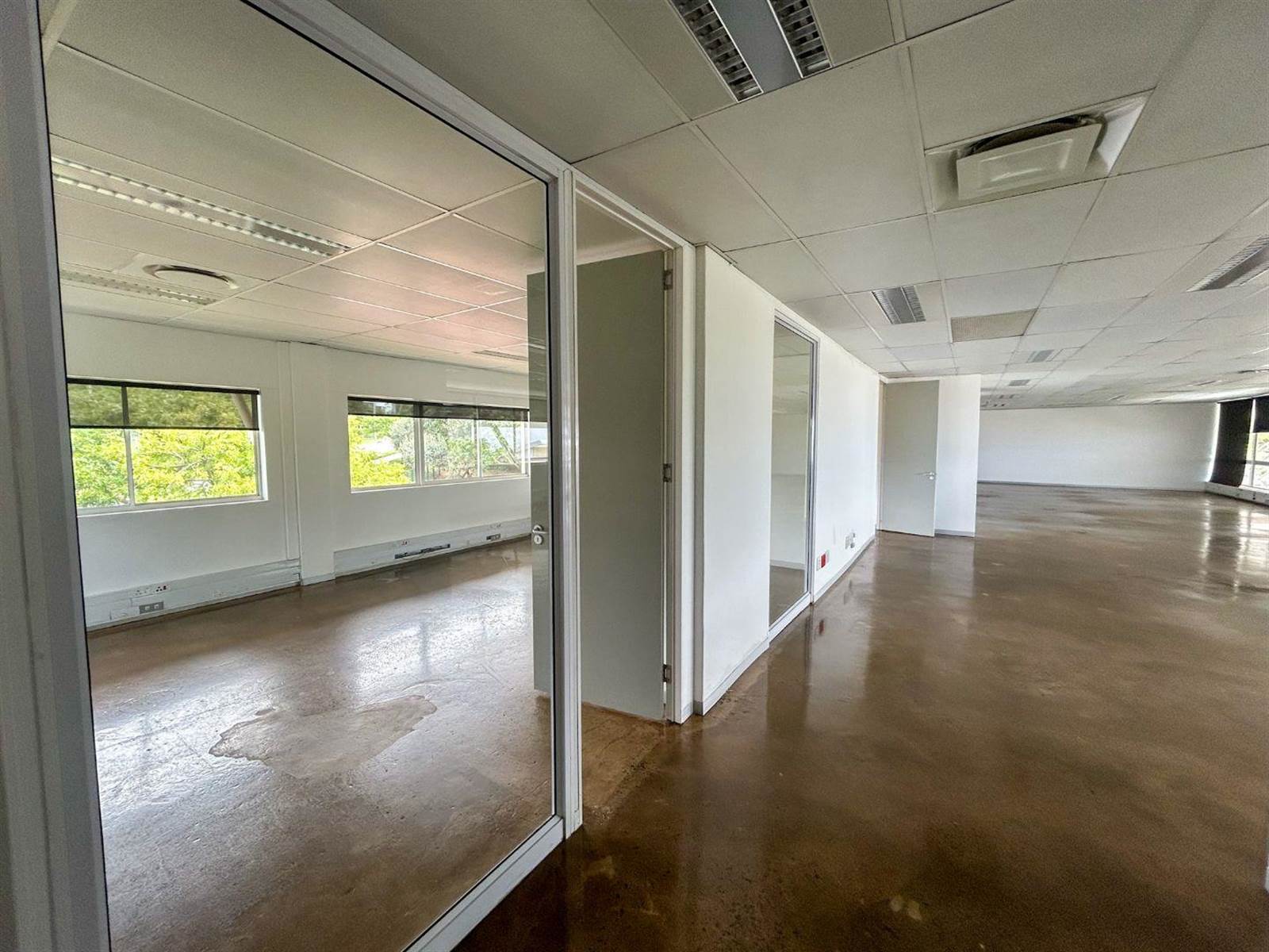 284.5  m² Office Space in La Lucia photo number 11